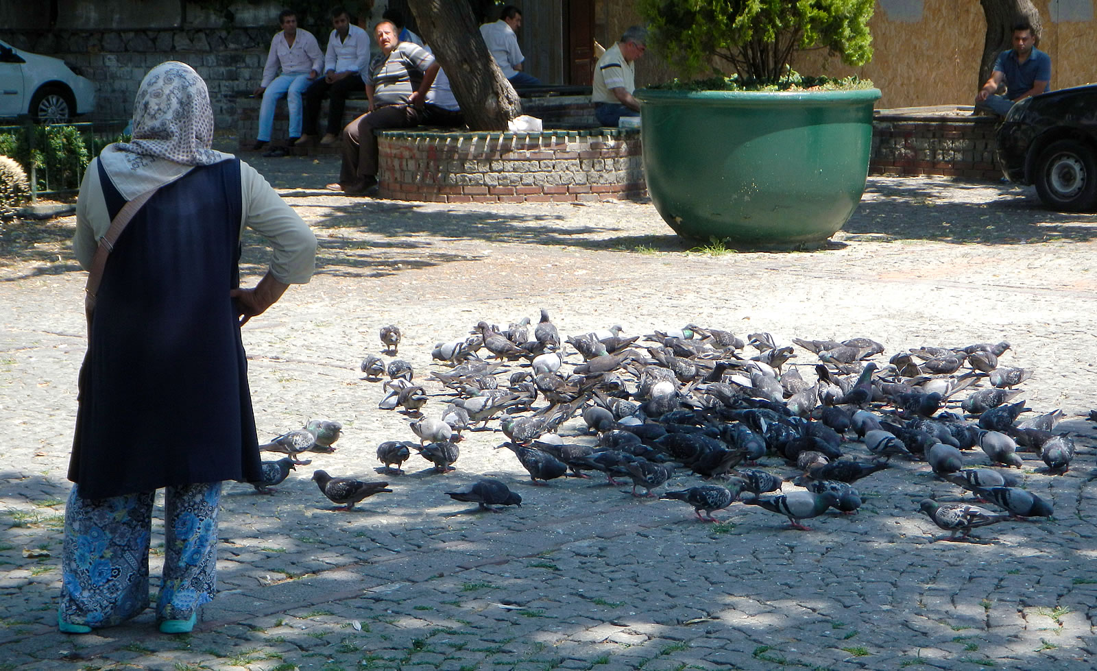 Woman and Pigeons in Istanbul