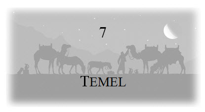 7. Temel