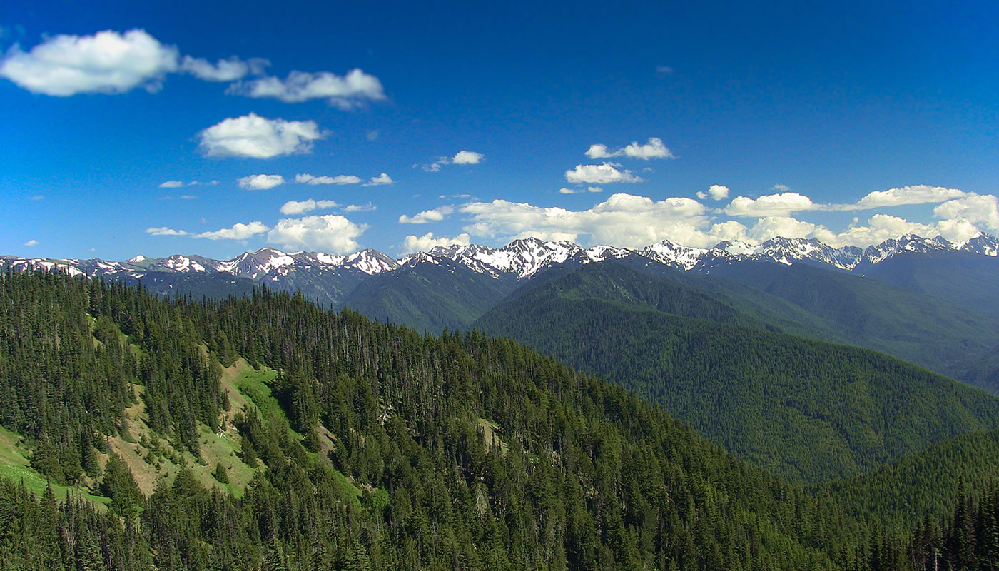 Olympic Mountains