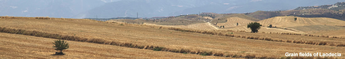 Grain fields, Laodecia, Turkey